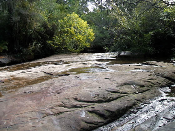 Creek at Manly Dam