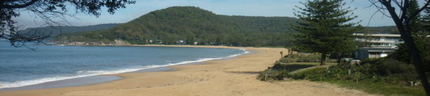 Page  banner - beach scene