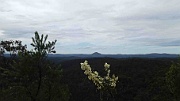 Looking out over Yengo NP