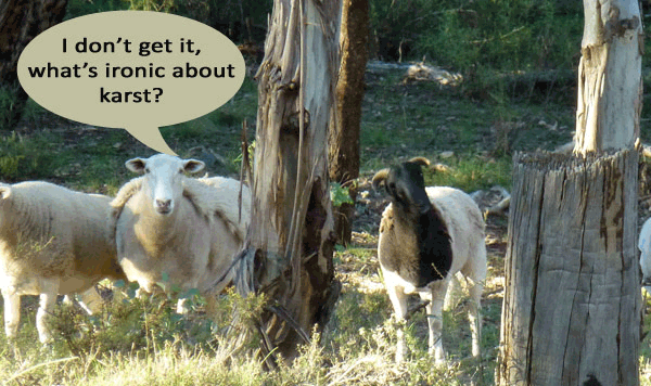 Sheep talk