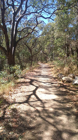 Oberon Colong Stock Route