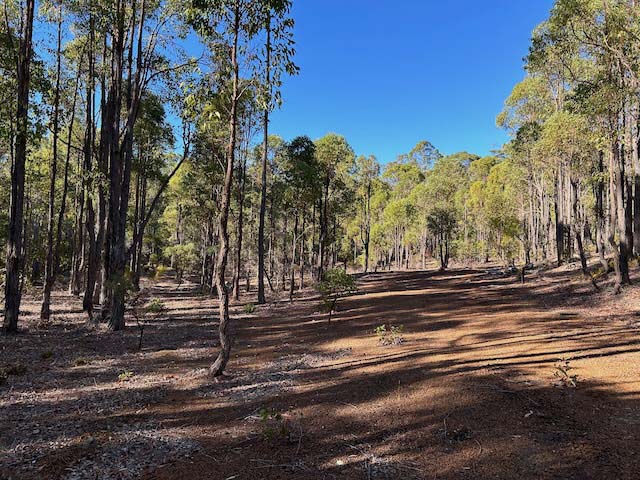 Australian Rogaining Championships