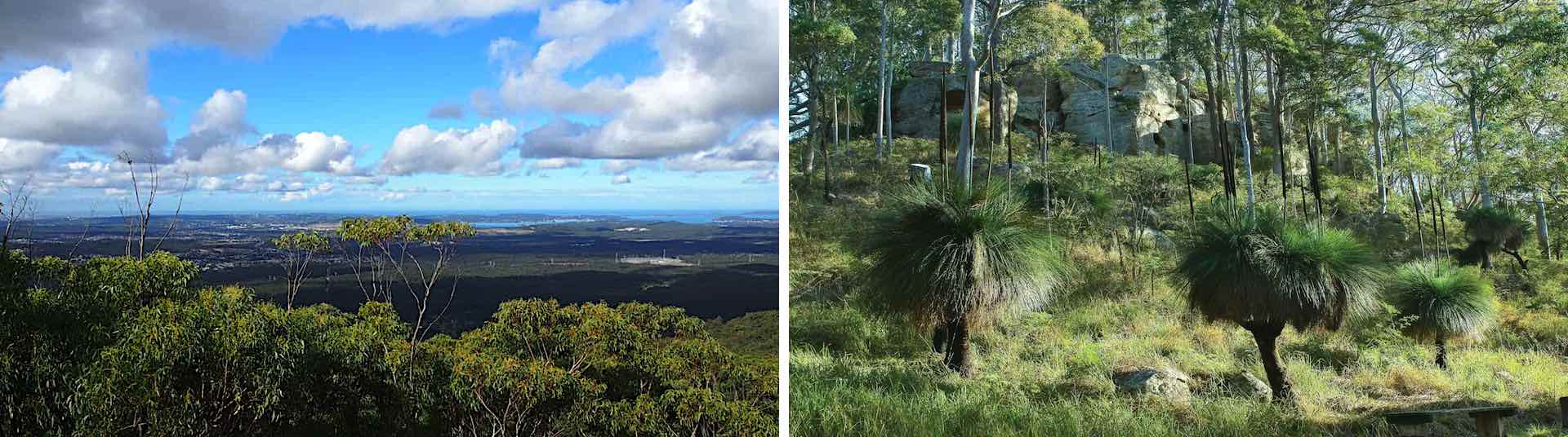 Mt Sugarloaf view