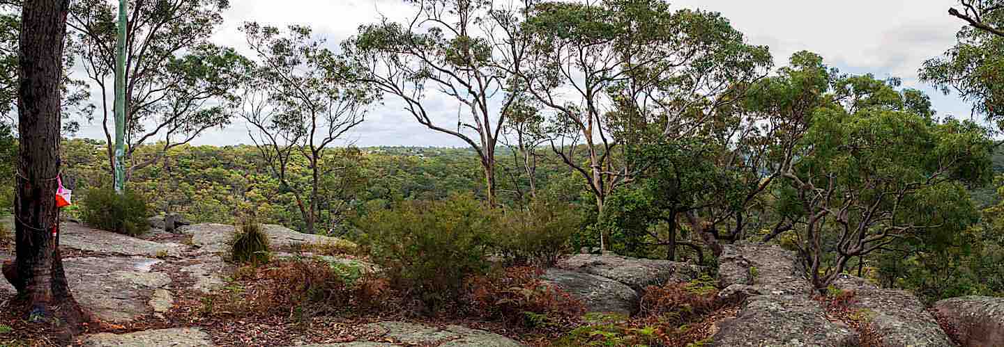 Control 82 looking north