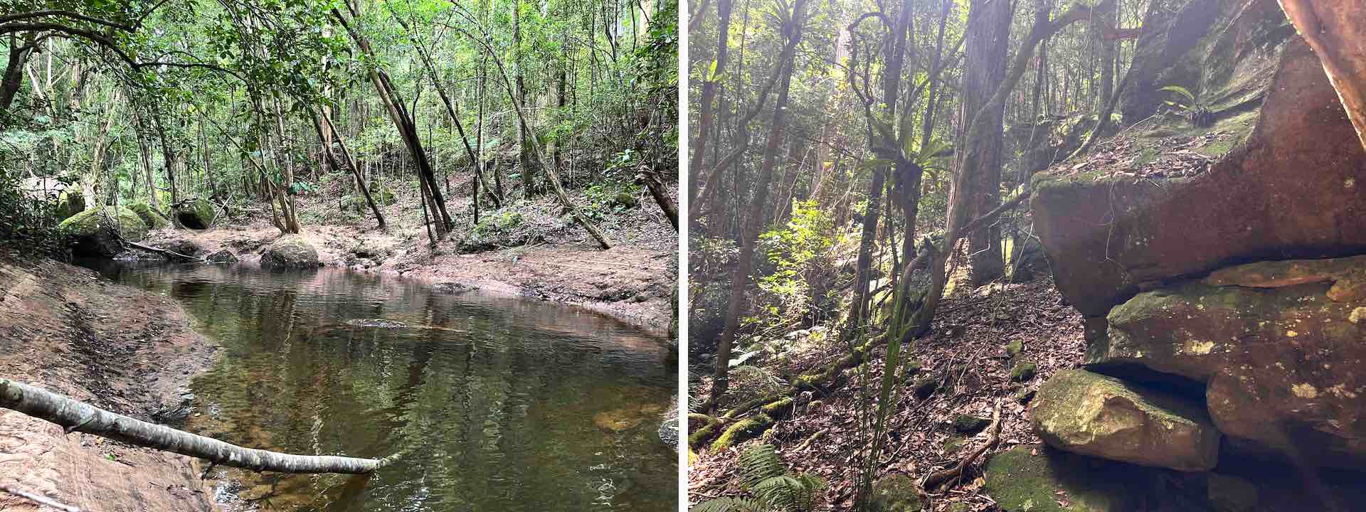 NSW Champs course