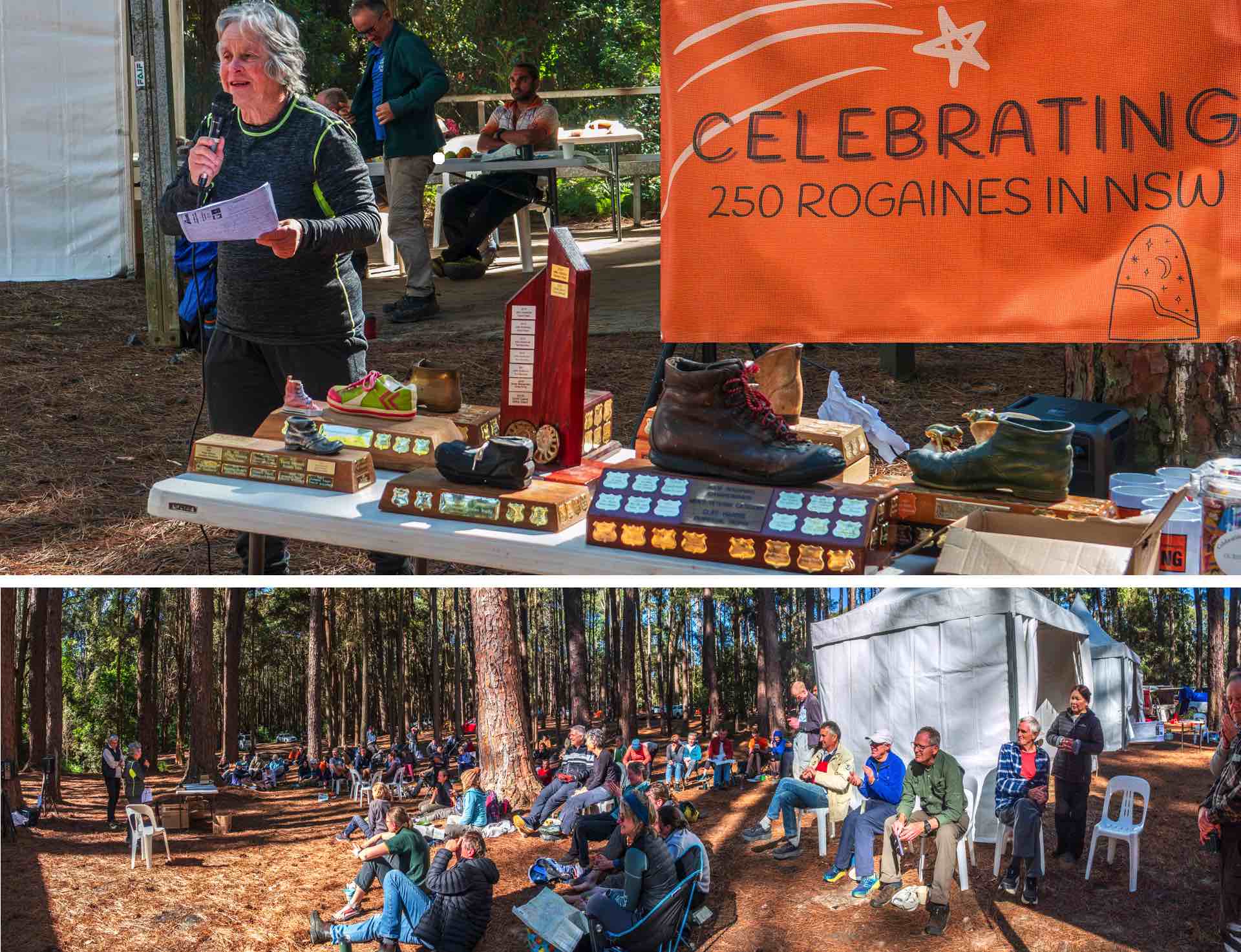 250 rogaines banner
