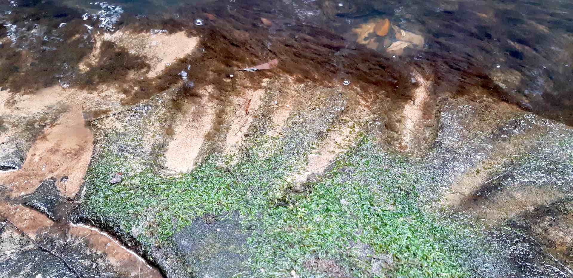 Lake Mac endpiece