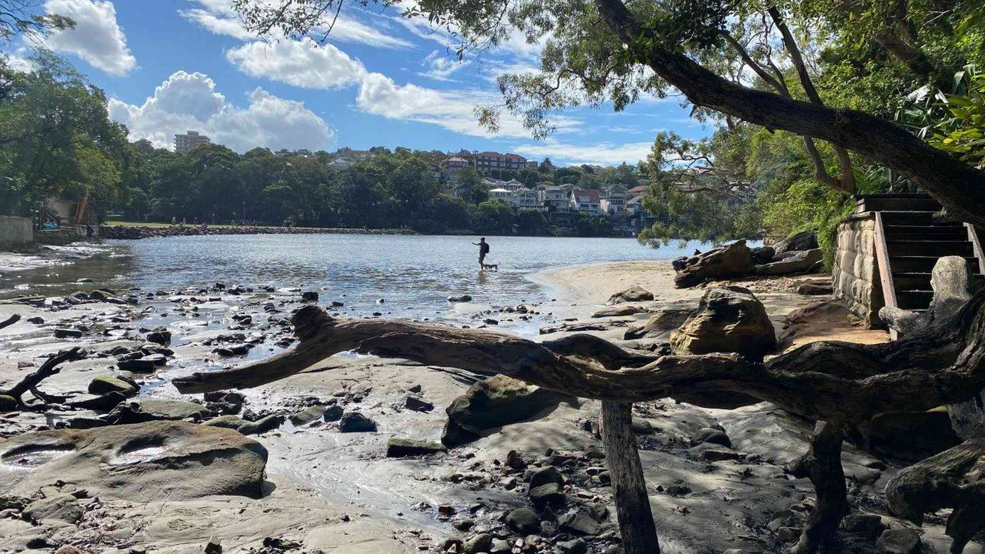 20240427_022401000_iOS