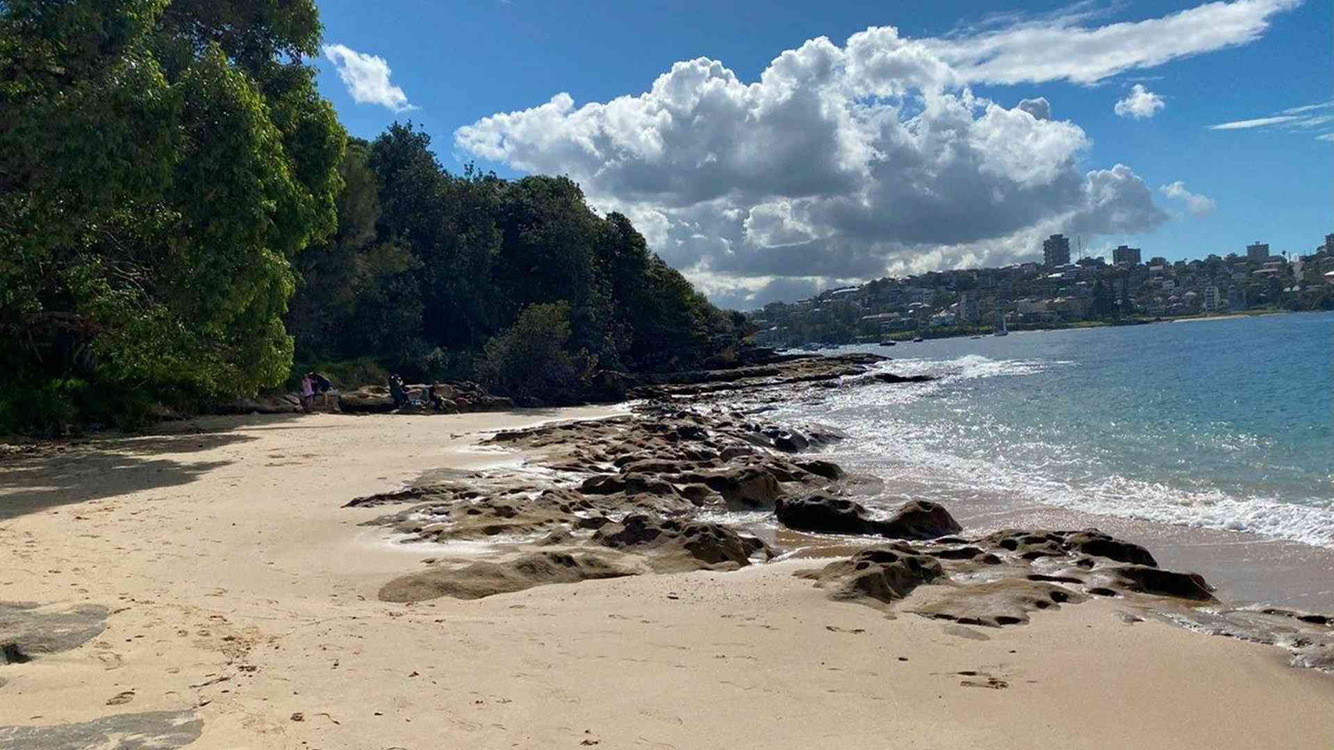 20240427_025421435_iOS