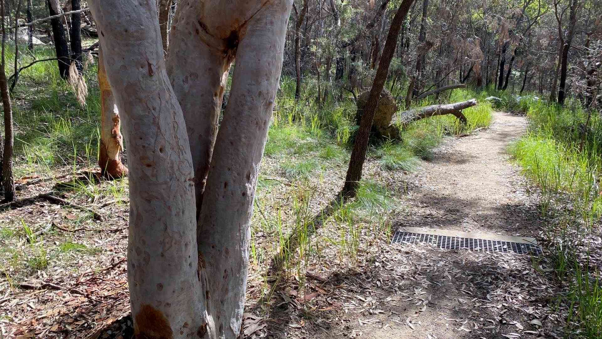 20240427_031323000_iOS