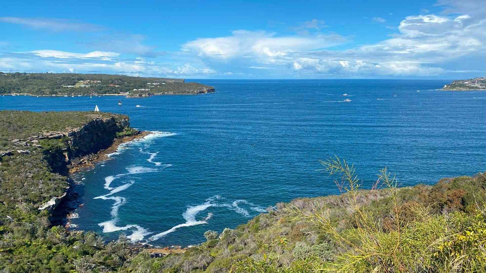 20240427_035530516_iOS