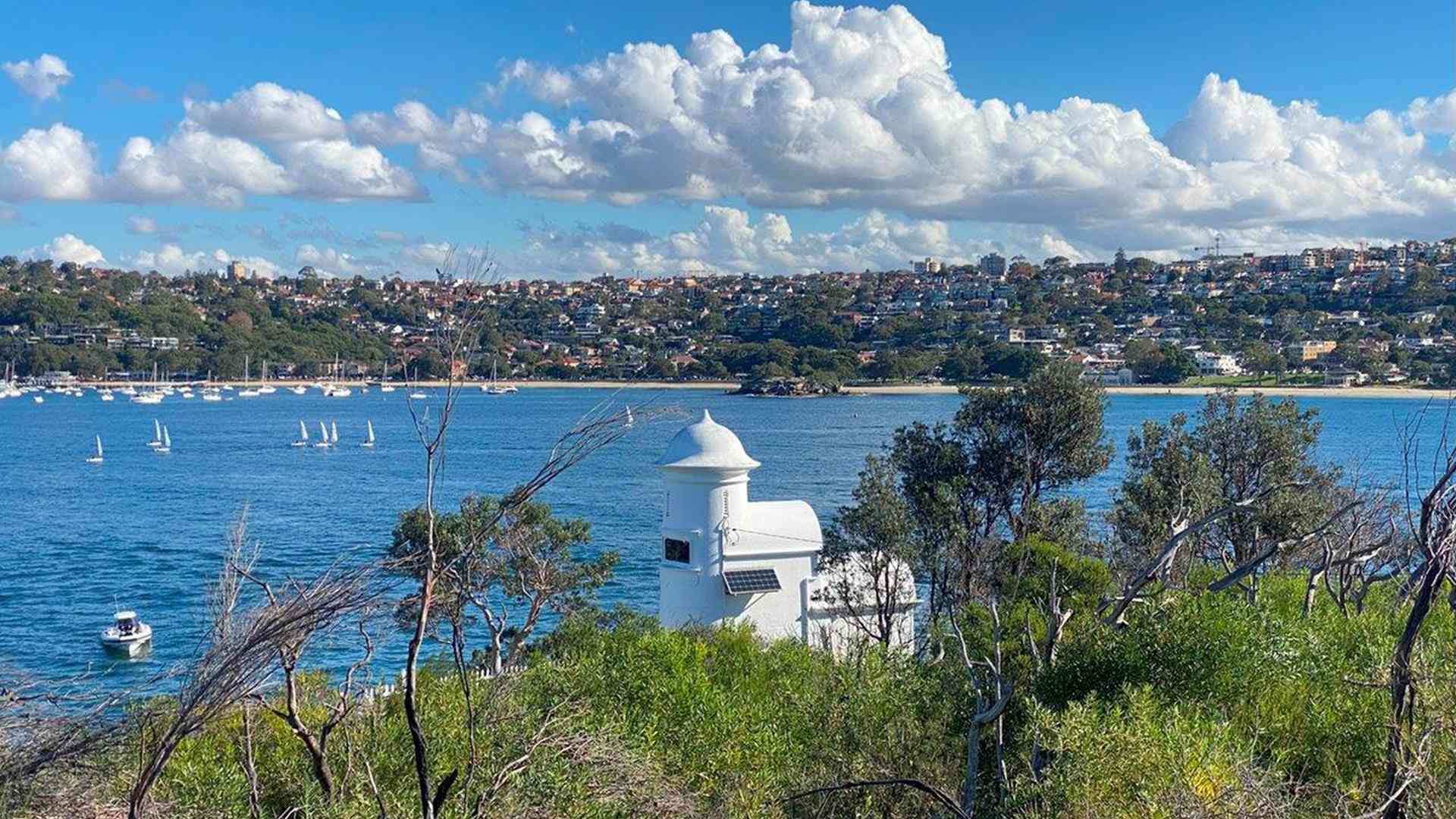 20240427_042202389_iOS