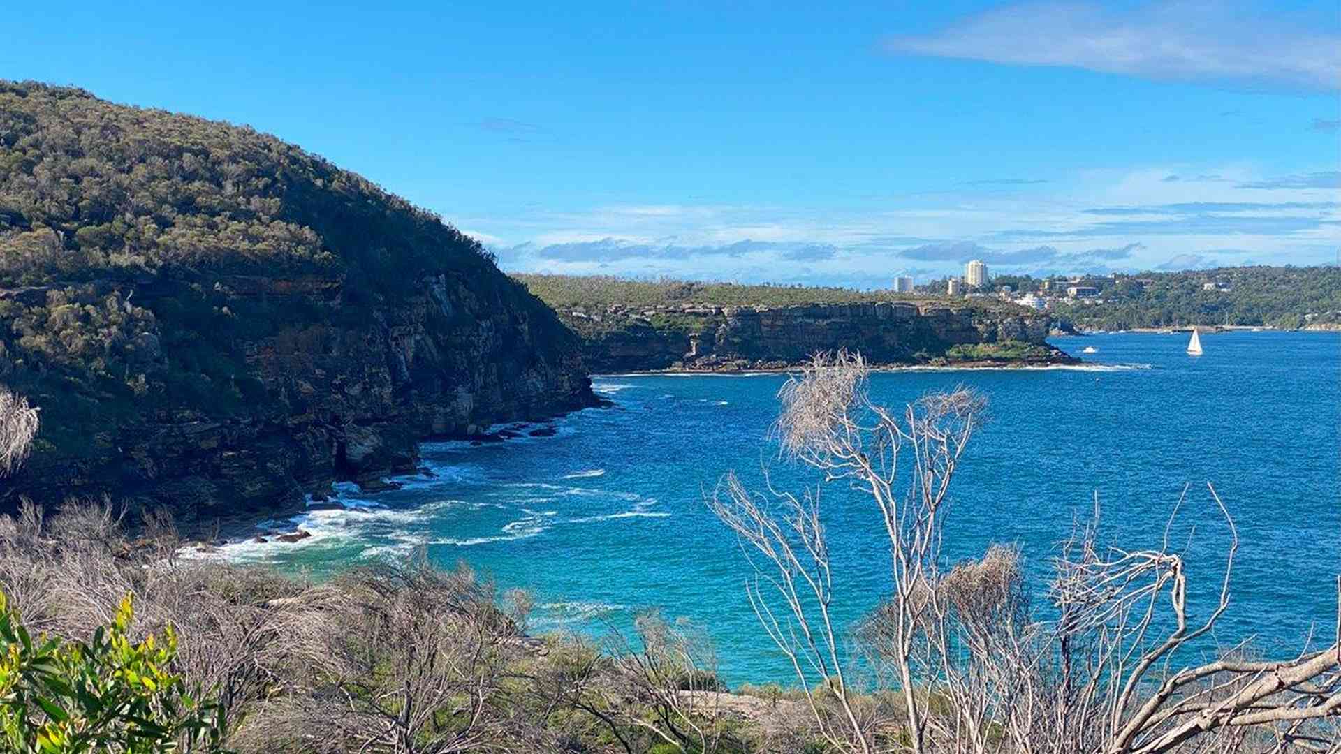 20240427_042506139_iOS