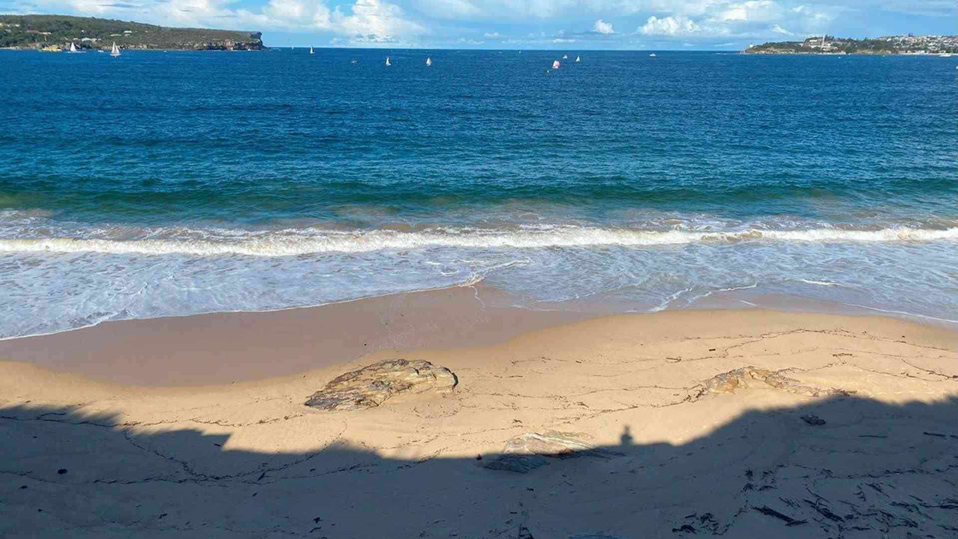 20240427_043230600_iOS