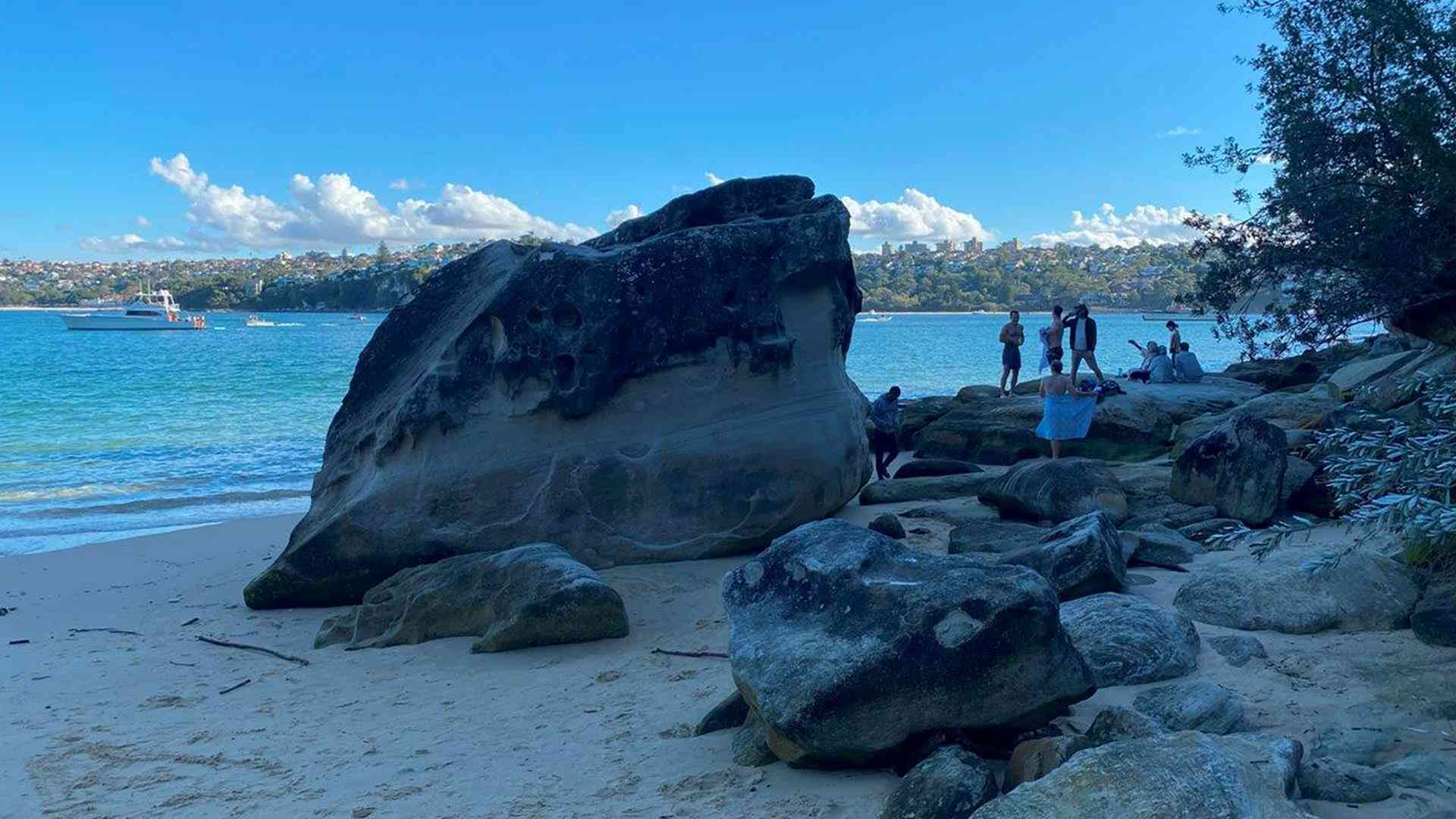 20240427_045144961_iOS