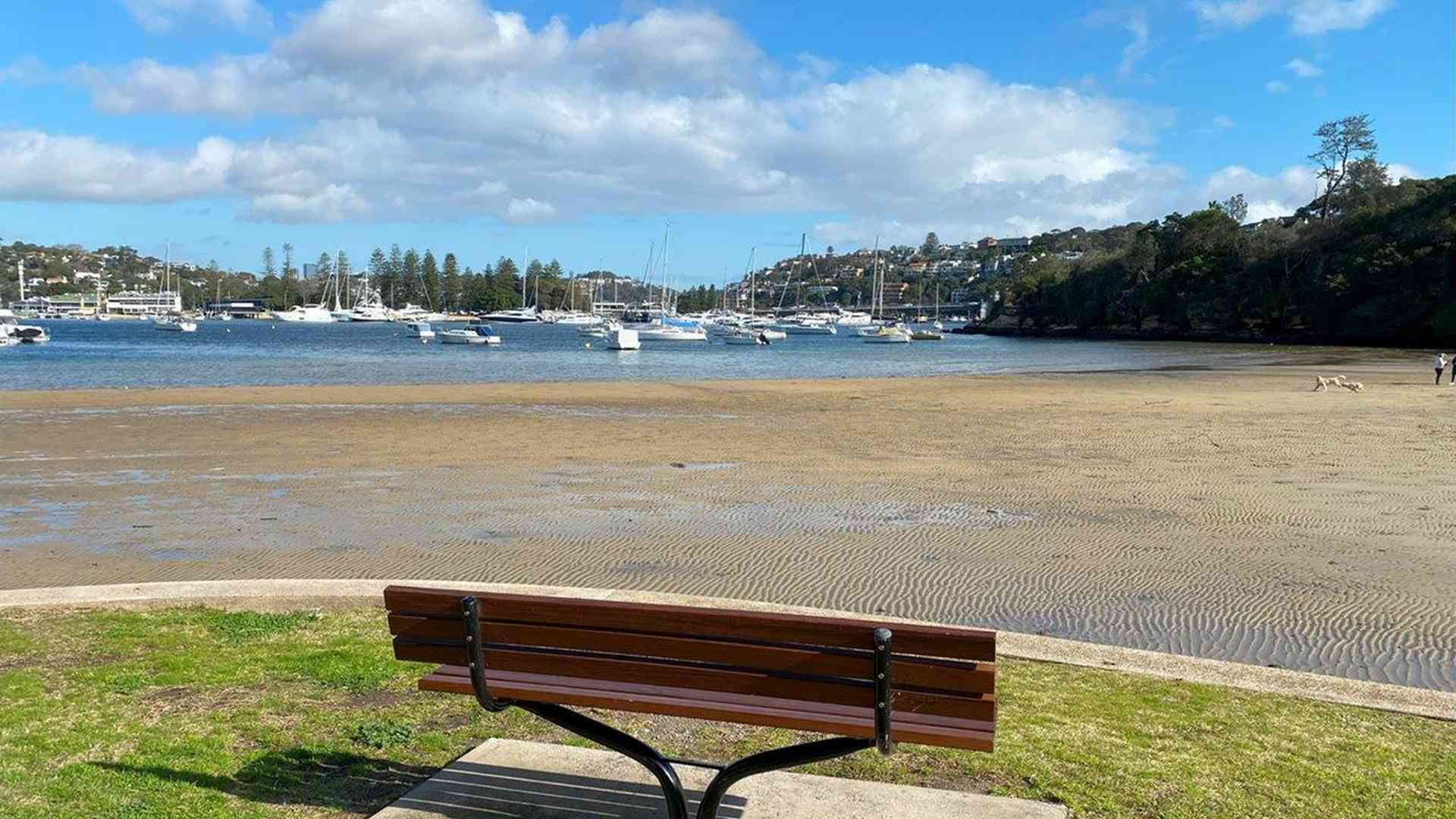 20240703_002322305_iOS