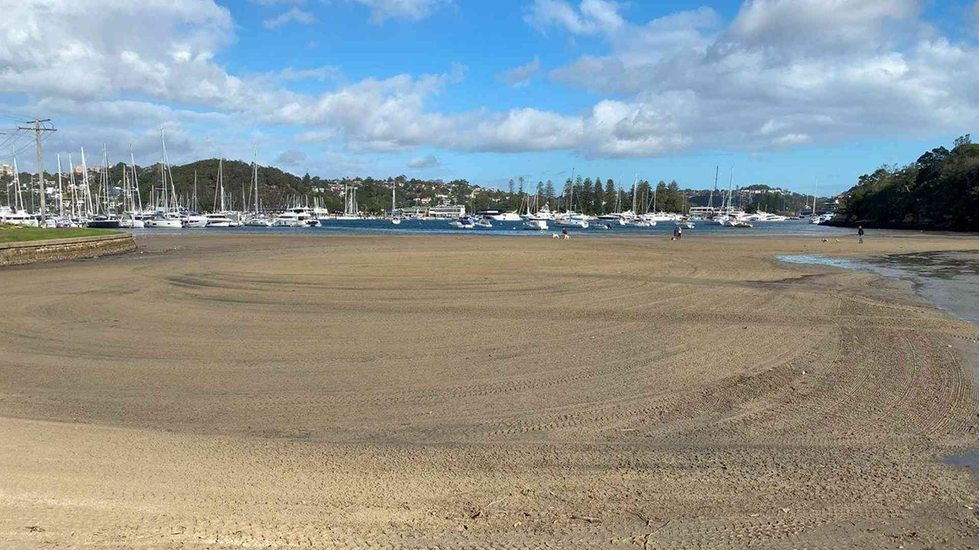 20240703_002430096_iOS