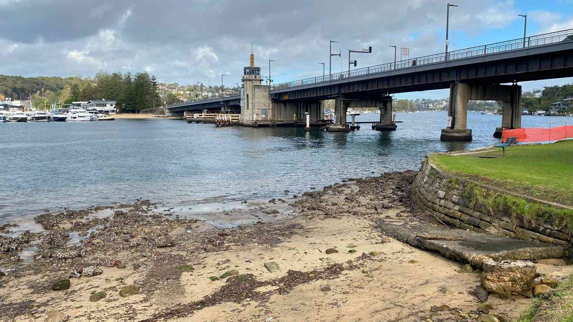 20240703_004949789_iOS