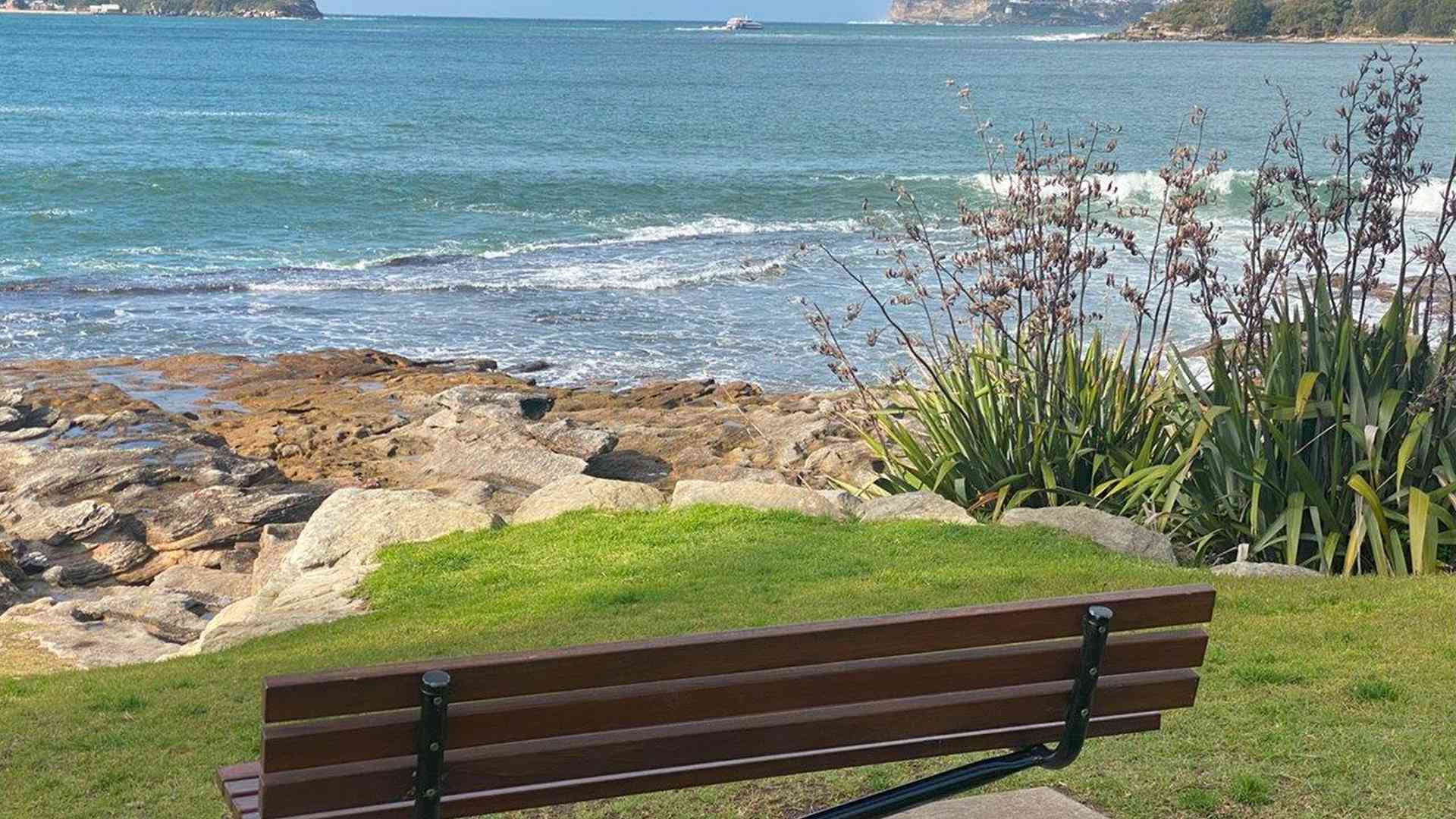 20240729_235345108_iOS