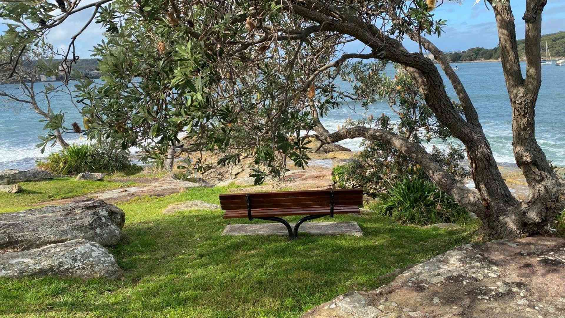 20240729_235712000_iOS