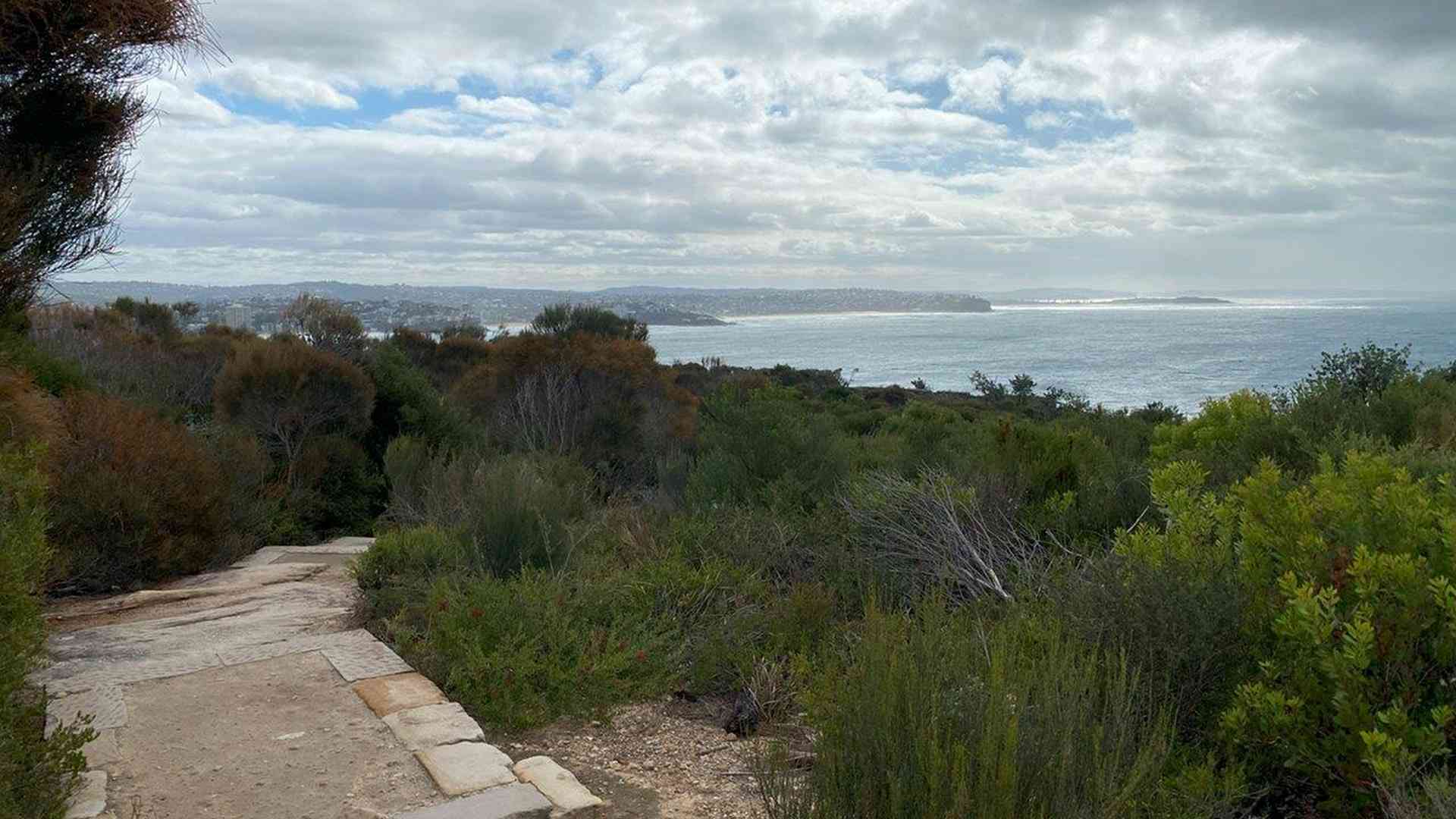 20240730_014228869_iOS