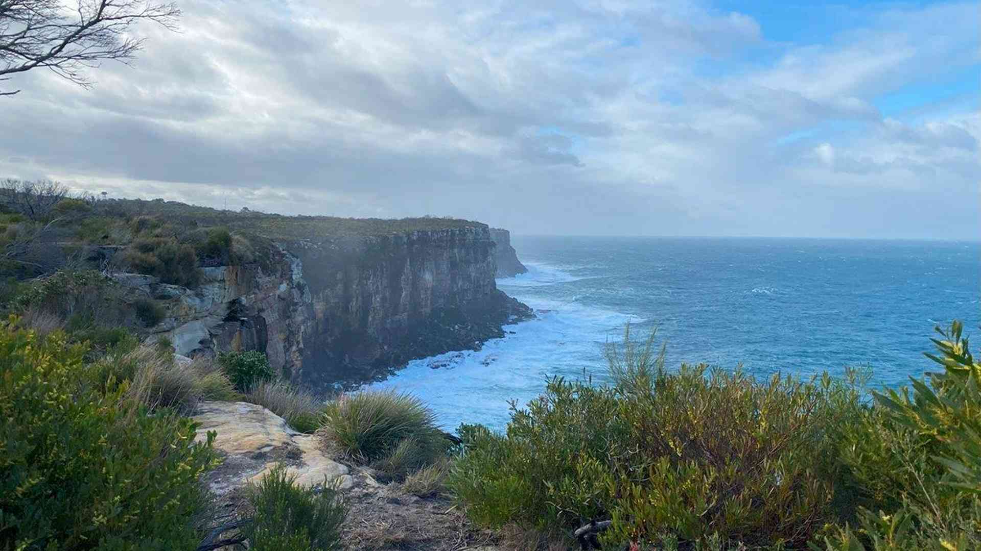 20240730_051519019_iOS