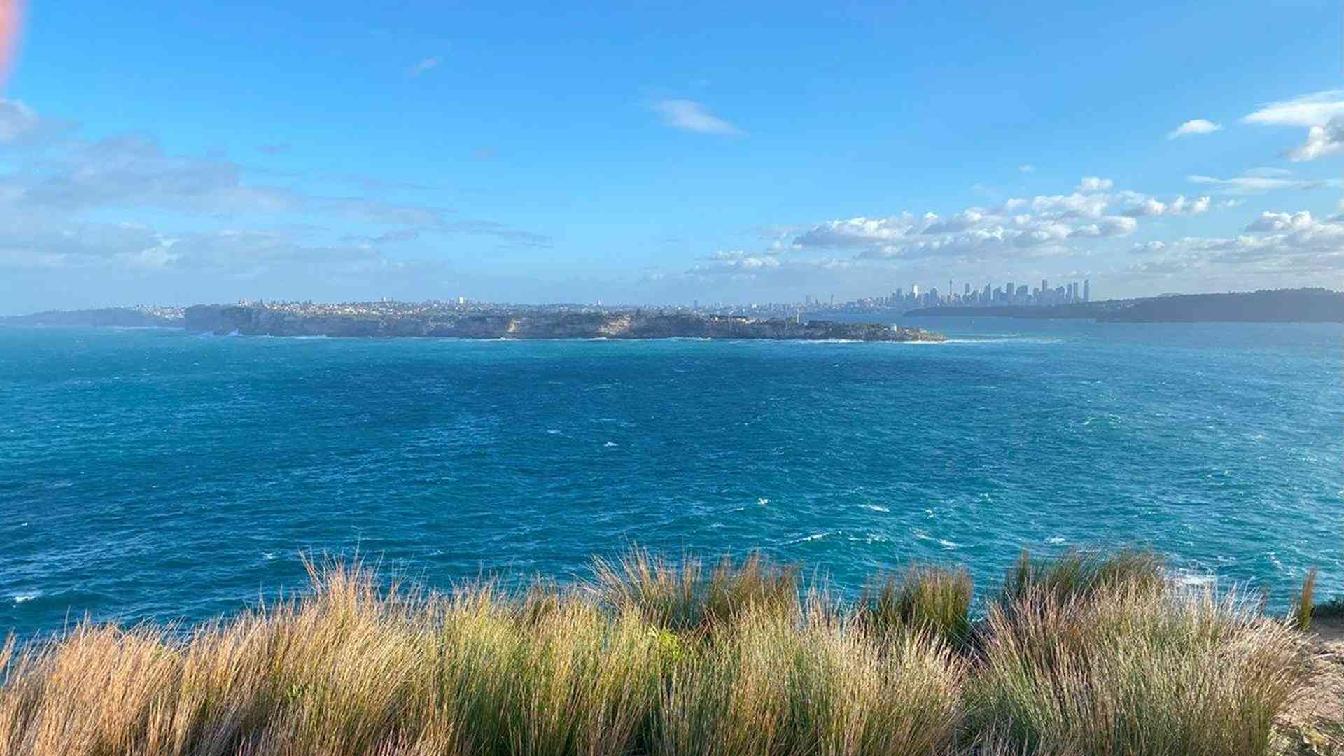 20240730_052251076_iOS