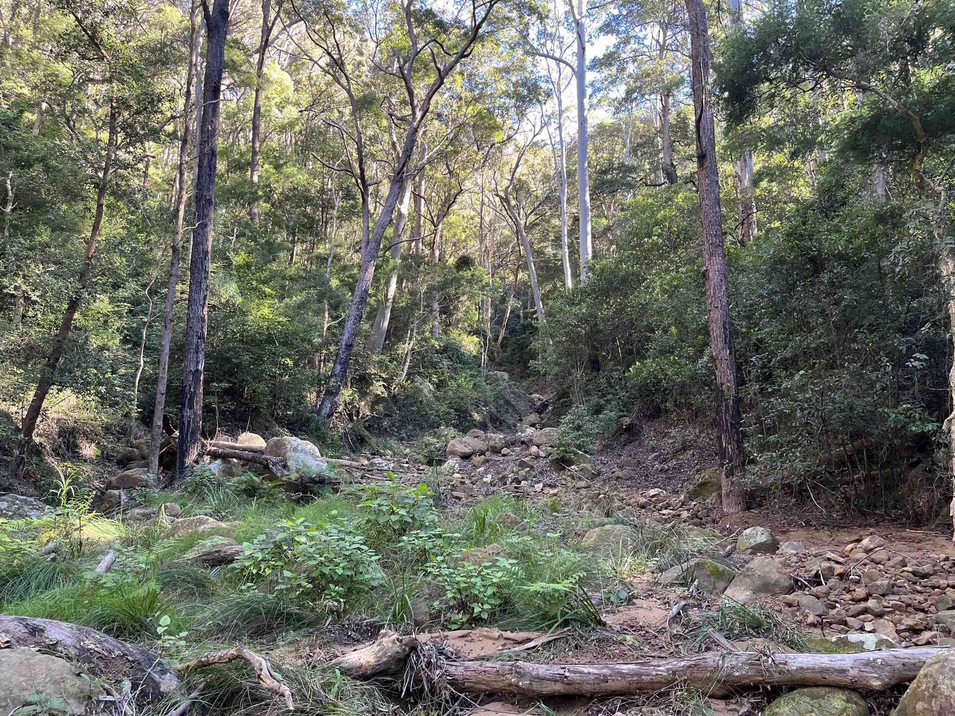 belowsanitascanyon