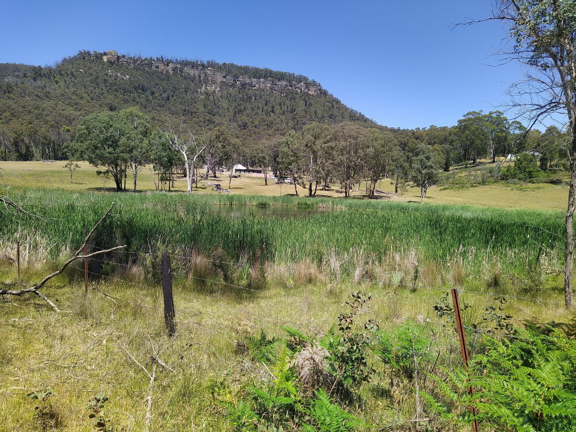 {"capture_mode":"AutoModule","faces":[]}