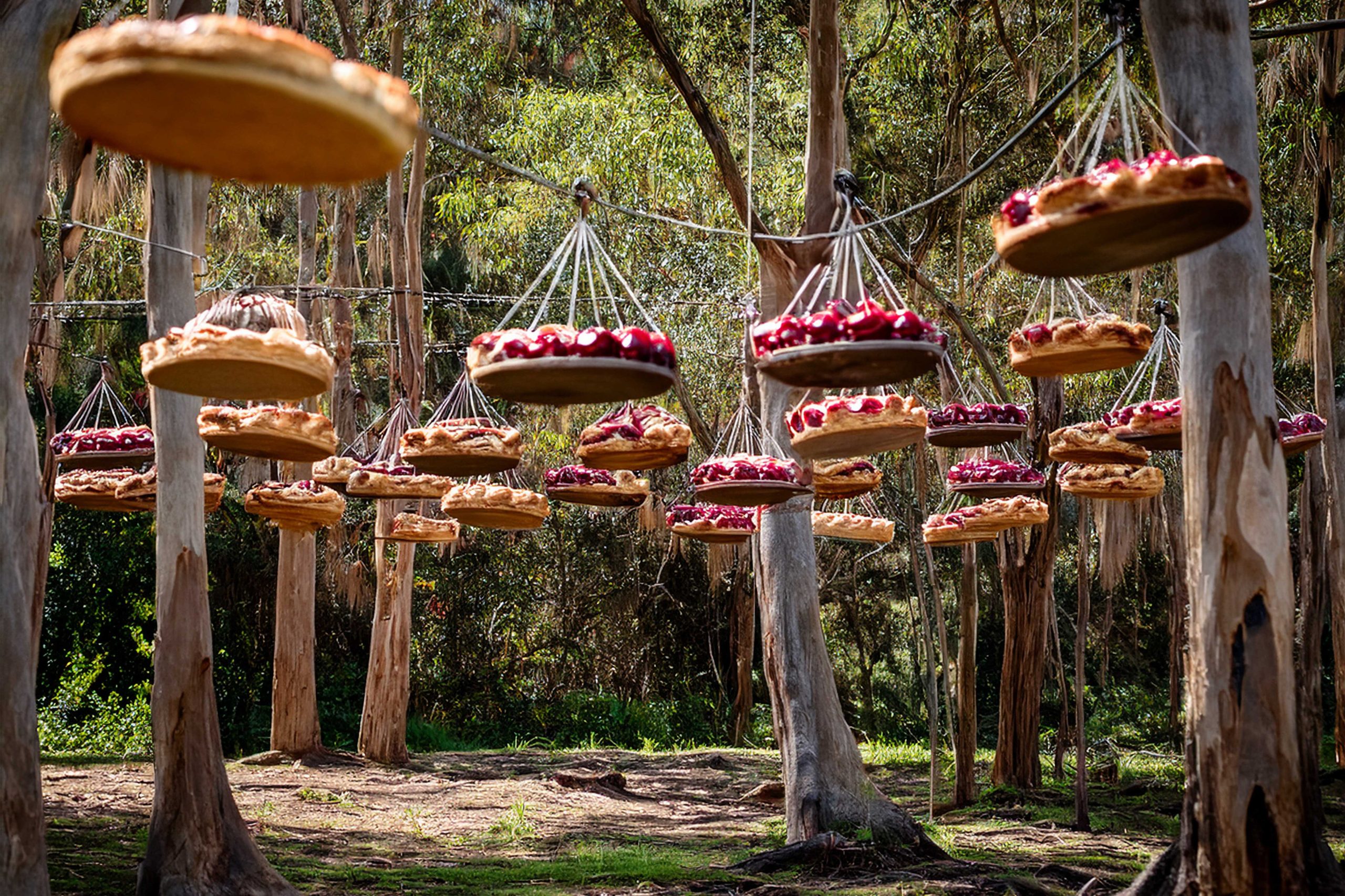 Cherry-Pies-hanging-from-trees
