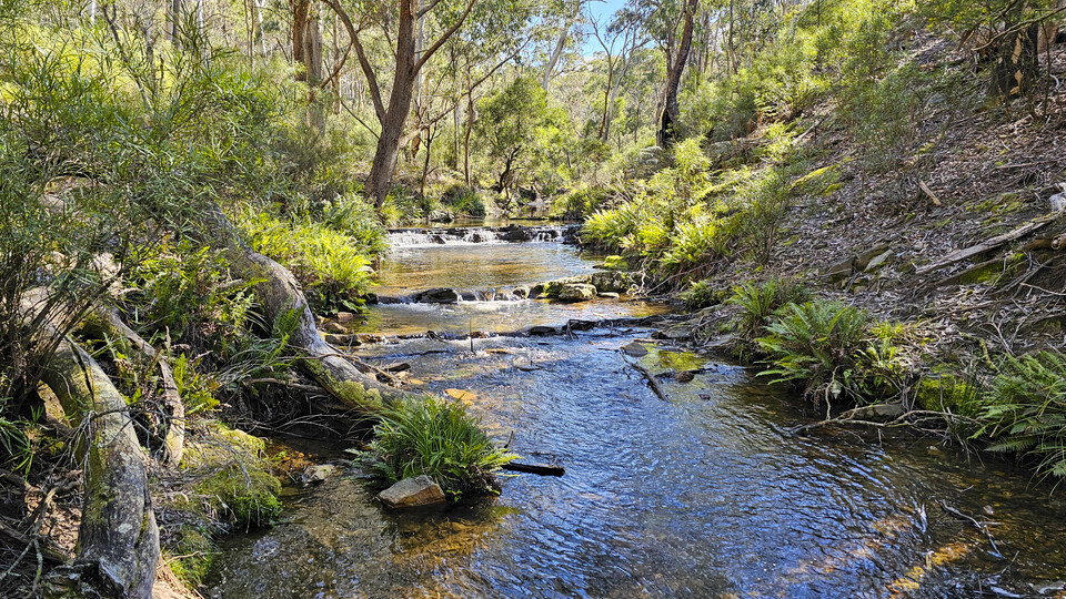 MountWerongCreek